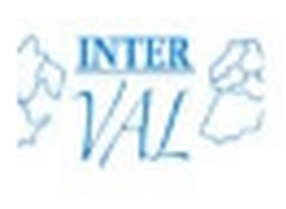 Logo Inter Vale, partenaire du Futsal D’Igny
